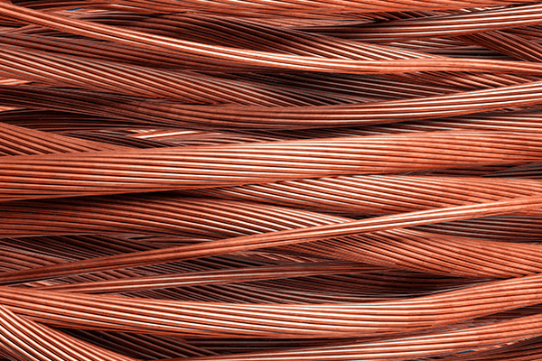 황2종 제품 이미지